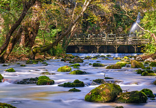 s_1840040206_caves-aggitis_555x360