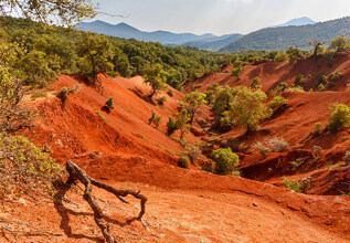 s_1933094234_kokkinopilos_555x360