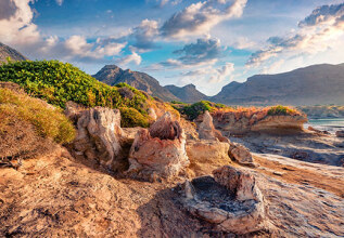 s_2140387377_geoparks-lakonia-agnikolaospetrifiedpalmforest_555x360