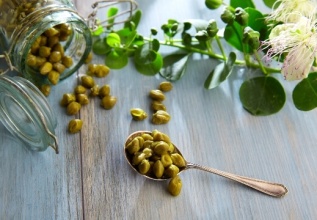 s_312076640_capers_tinos_555_360