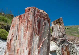 s_32968276_lesvos-petrifiedforest_555x360