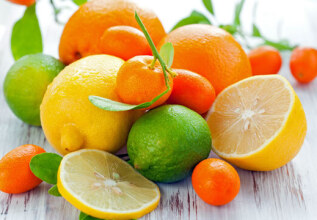 s_67105915_citrusfruit_555x360