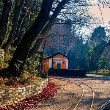 Embrace the allure of Greece's magical Mount #Pelion, where the charm of the coastline meets the enchantment of mountain peaks. Whether you're looking to explore snow-kissed landscapes or fairytale-like villages, your dreamy winter adventure starts here! 

🏞️ Link in bio

#VisitGreece #makrinitsa #milies