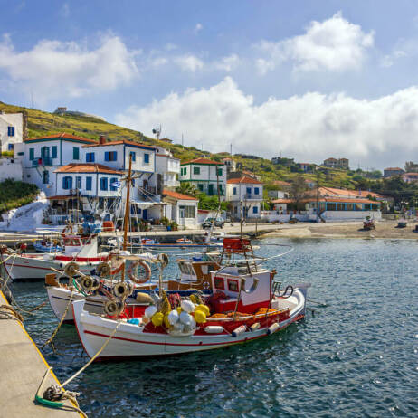 Small port with fishing boats and traditional houses