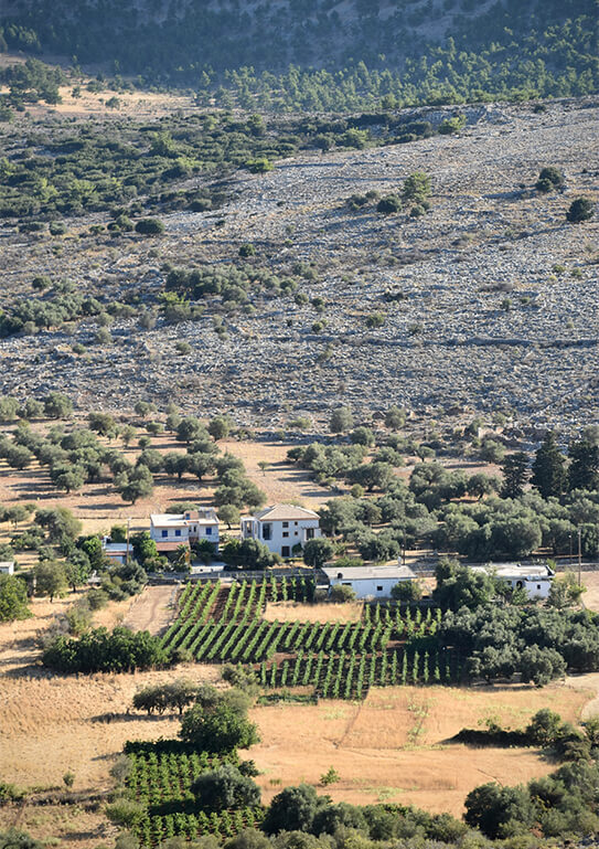 View of Cretan highlands