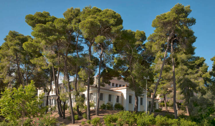 Ancient Olympia Museum surrounded by tall pine trees