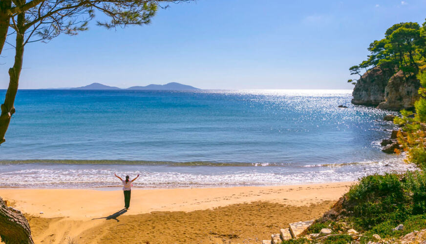 Κοπέλα με ανοιχτά χέρια σε ηλιόλουστη παραλία με άμμο και δέντρα στο πλάι κοιτάει την ήρεμη θάλασσα.